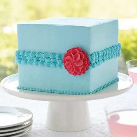 presa-decorazione-torta-wilton-32