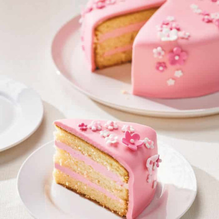mix-genoise-funcakes-1-kg