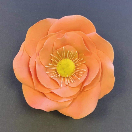 set di 5 tagliabiscotti per rose in pasta di zucchero