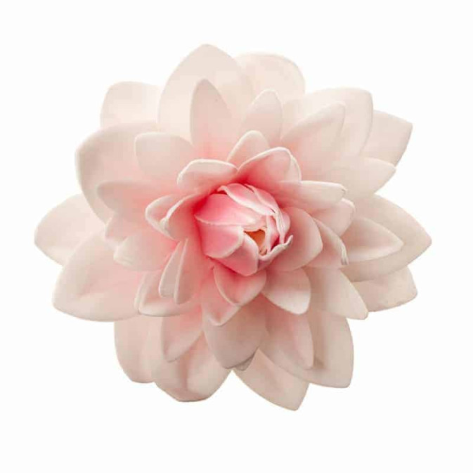 fiore gigante di wafer-dah