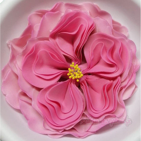 Rosa inglese in pasta di zucchero