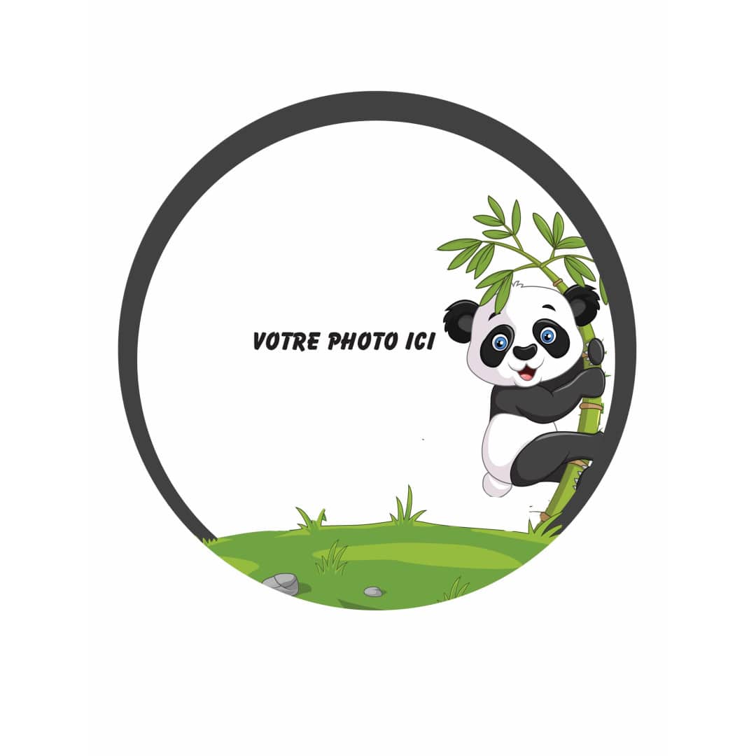panda-foto-commestibile-20-cm