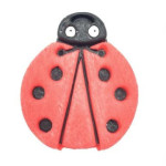 sabbia-coccinella