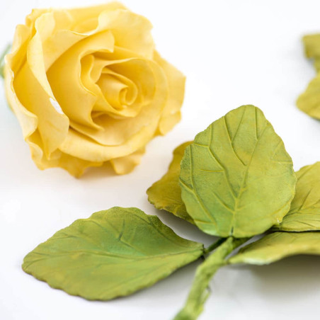 4 taglia-foglie di rose
