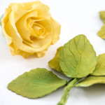 4 taglia-foglie di rose