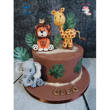 cake-design-pasta-di-zucchero-di-marrone-setosa-