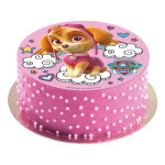 idea-cake-stella-paw-patrol