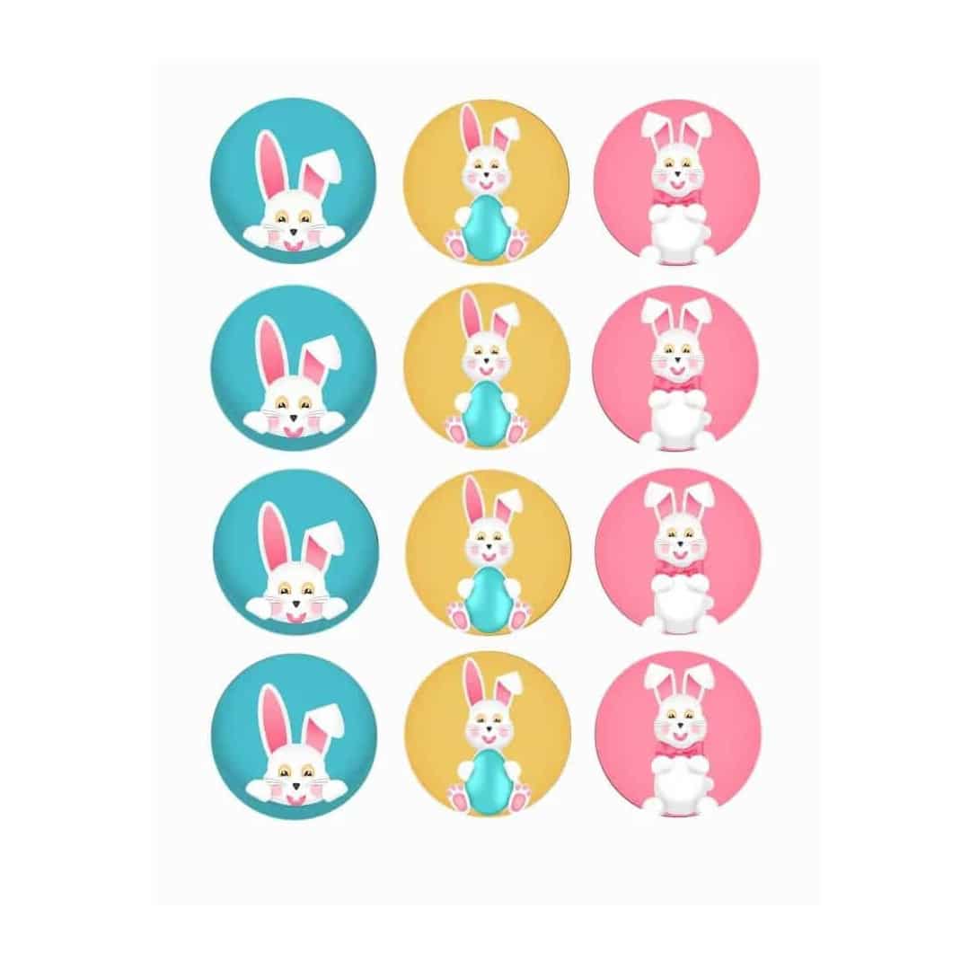 12 mini-dischi-di-zucchero-coniglietti-pasquali