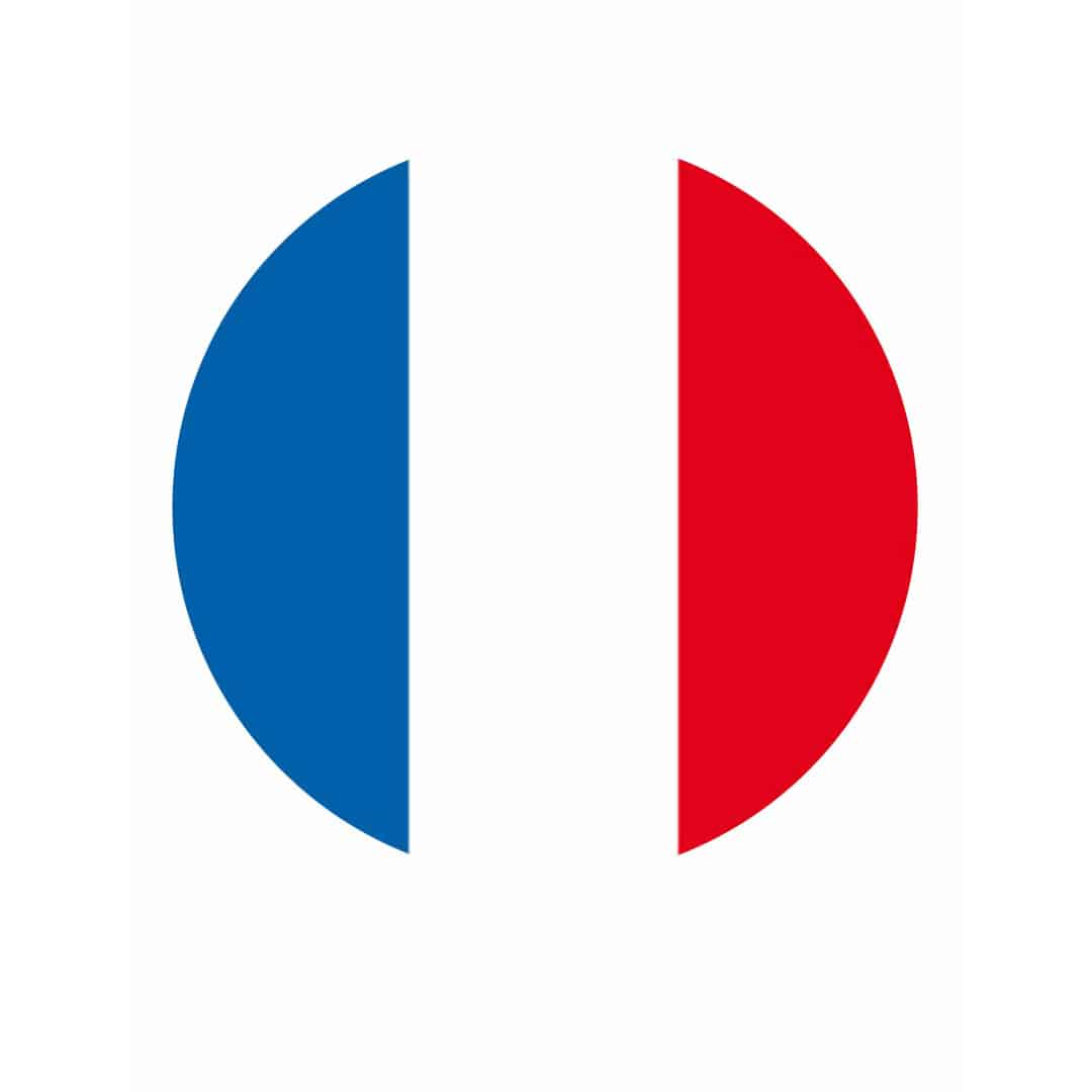 disco-di-zucchero-bandiera-francese-mondiali-di-calcio