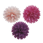 12 fiori pompon tricolori