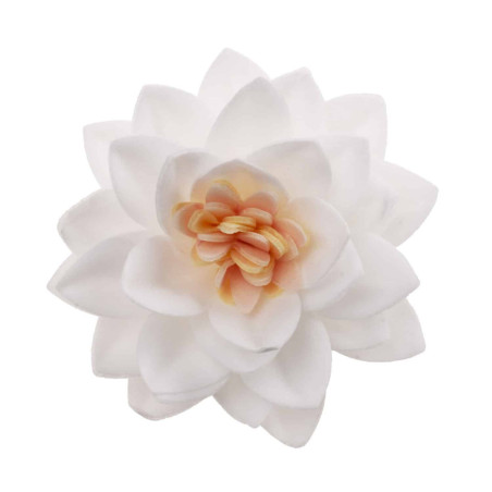 15 fiori di loto bianchi in matzo
