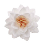 15 fiori di loto bianchi in matzo