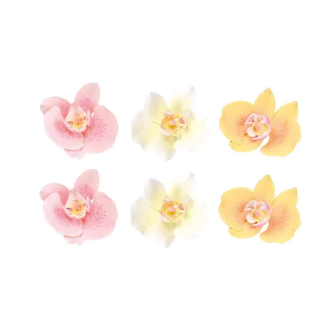 Cake Design Pastello Con 6 Fiori Di Orchidee