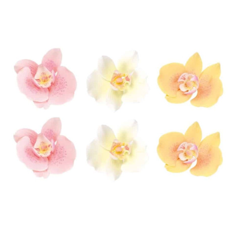 Cake Design Pastello Con 6 Fiori Di Orchidee