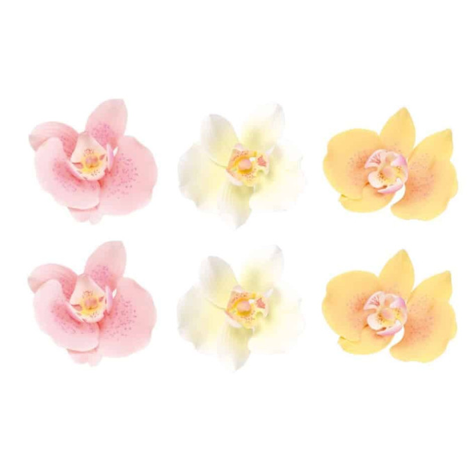 Cake Design Pastello Con 6 Fiori Di Orchidee