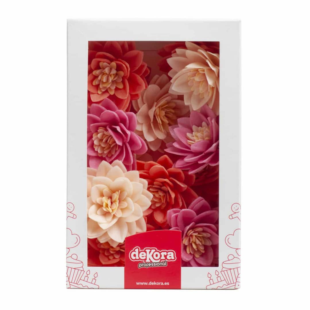 Decorazione di torta con 15 fiori di loto in matzo