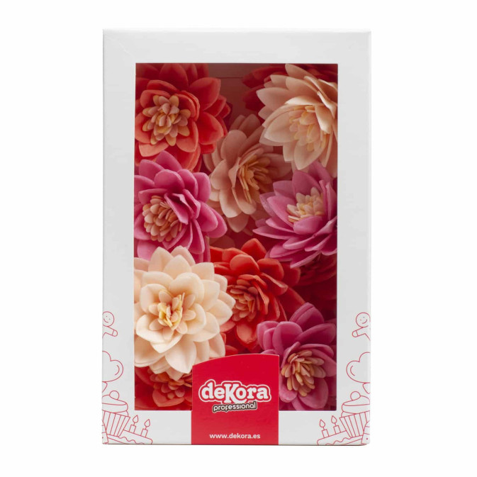 Decorazione di torta con 15 fiori di loto in matzo