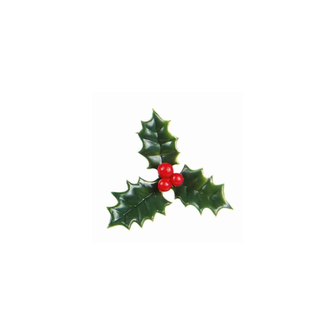 10 foglie di agrifoglio per il ceppo di Natale