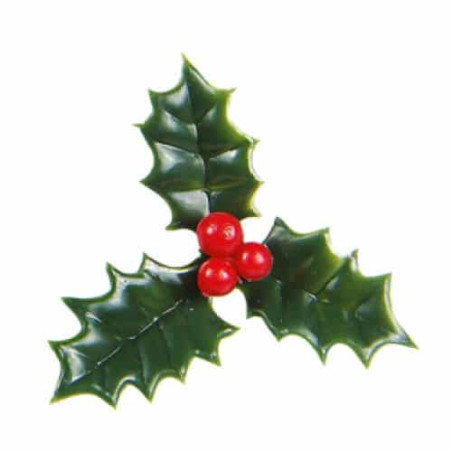 10 foglie di agrifoglio per il ceppo di Natale