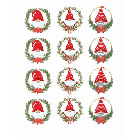 12 dischi commestibili degli elfi di Natale