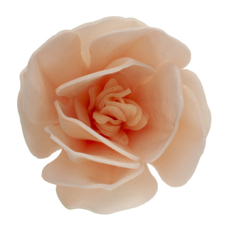 decorazione-fiore-di-magnolia-in-torta-matzo