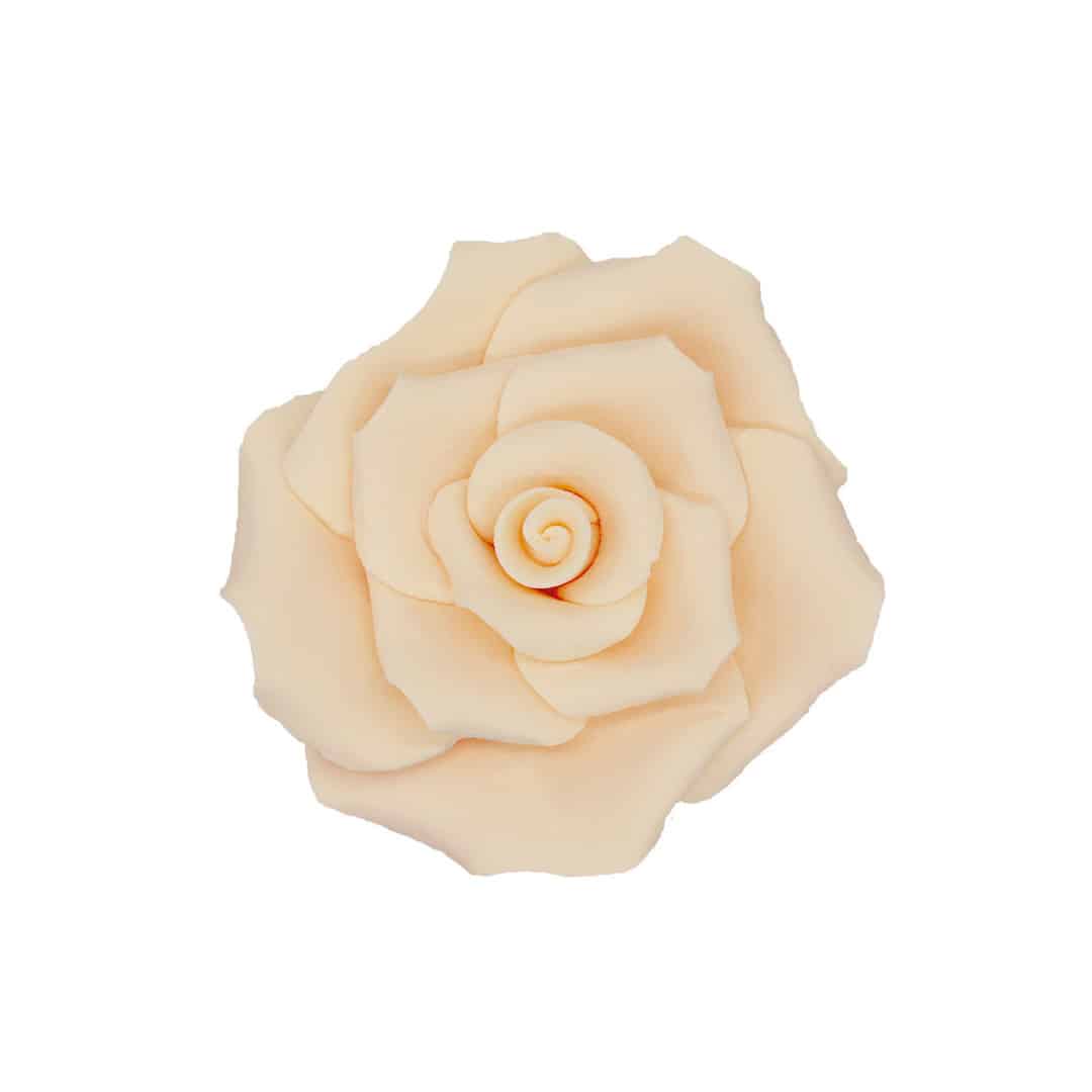6-rose-di-zucchero-bianco-pesca-7-cm