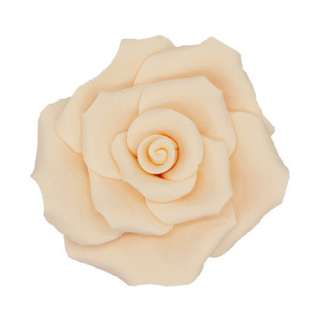 6-rose-di-zucchero-bianco-pesca-7-cm