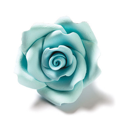 rosa-in-zucchero-azzurro