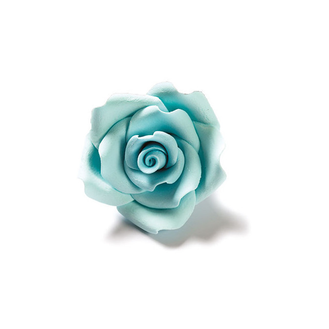 rosa-in-zucchero-azzurro