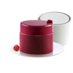 stampo e torta realizzati con uno stampo a torre silikoamrt
