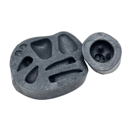 stampo-in-silicone-3d-leone