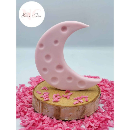 modellazione lunare in pasta di zucchero