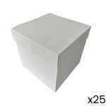 scatola per torte x25