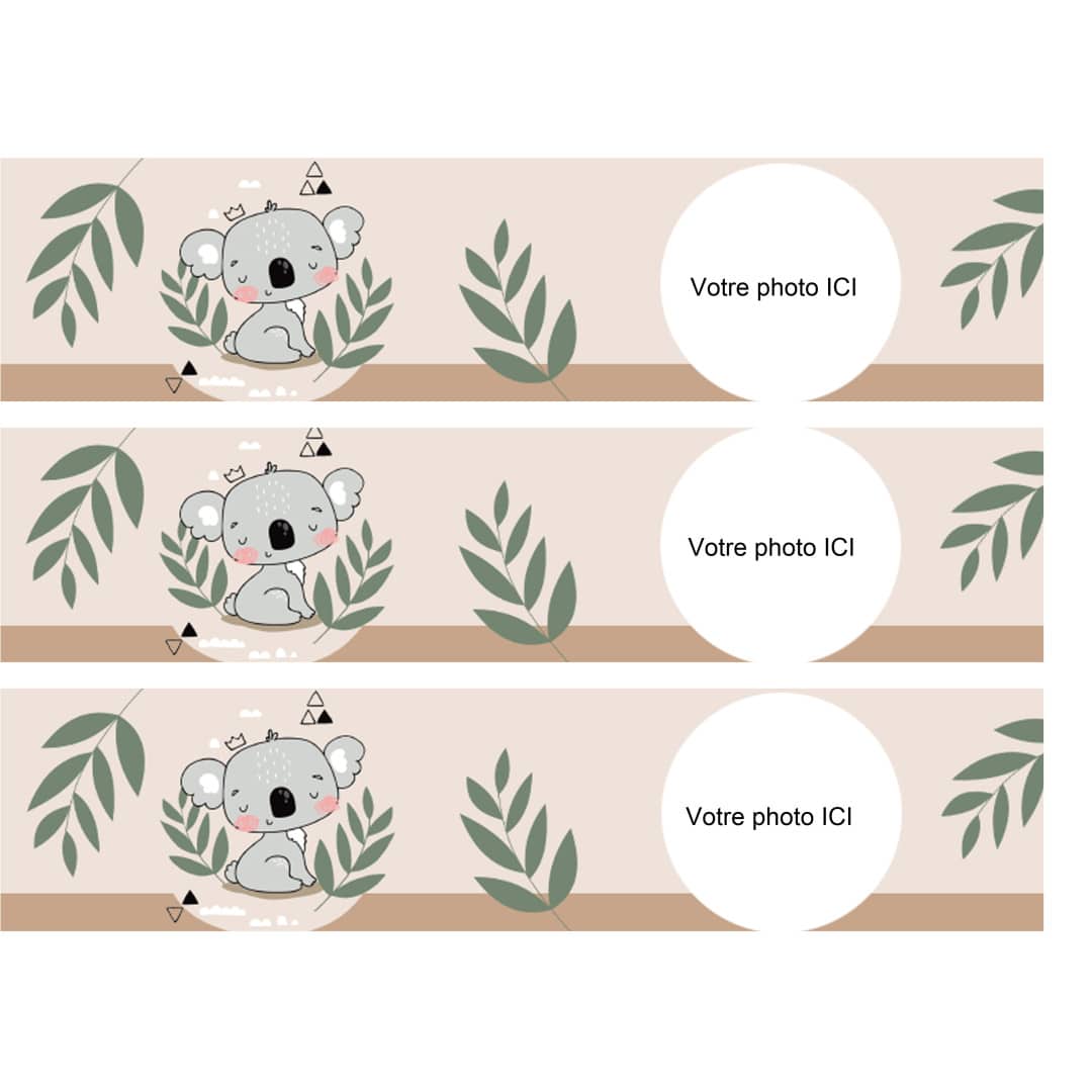 contorno-torta-koala-commestibile-da-personalizzare