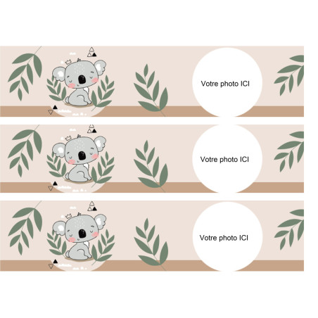contorno-torta-koala-commestibile-da-personalizzare