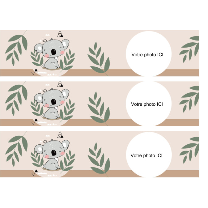 contorno-torta-koala-commestibile-da-personalizzare