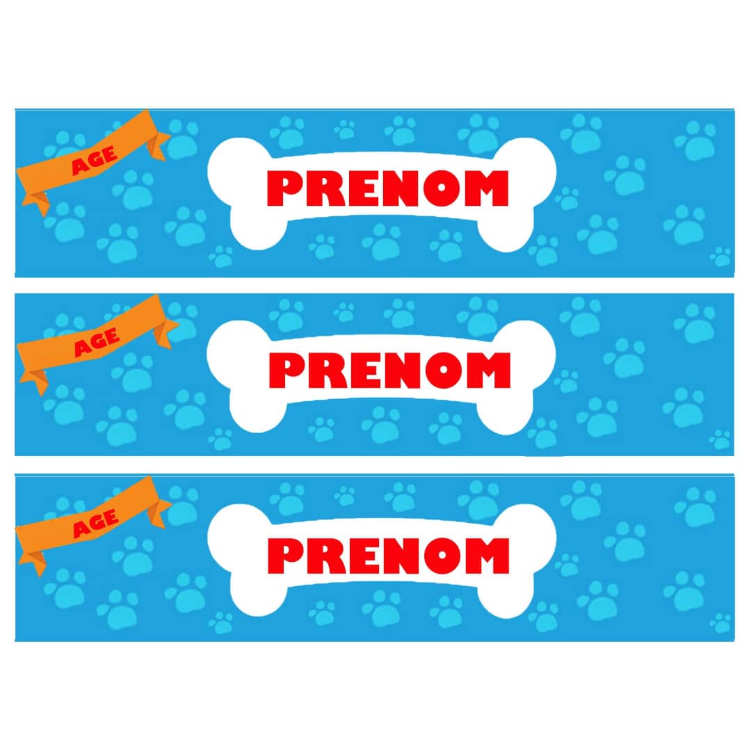 torta-contorno-cani-paw-patrol