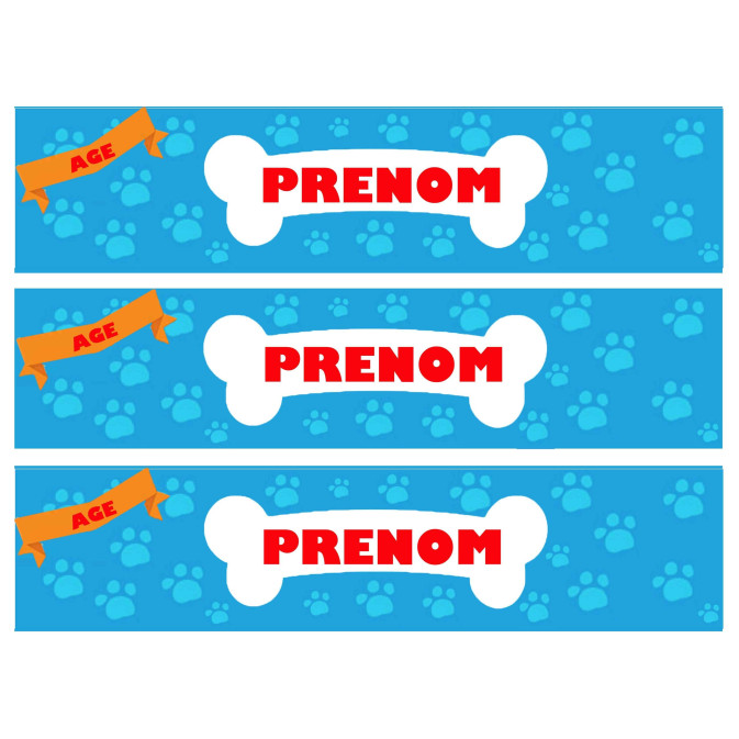 torta-contorno-cani-paw-patrol