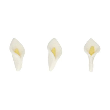 arum-zuccherato