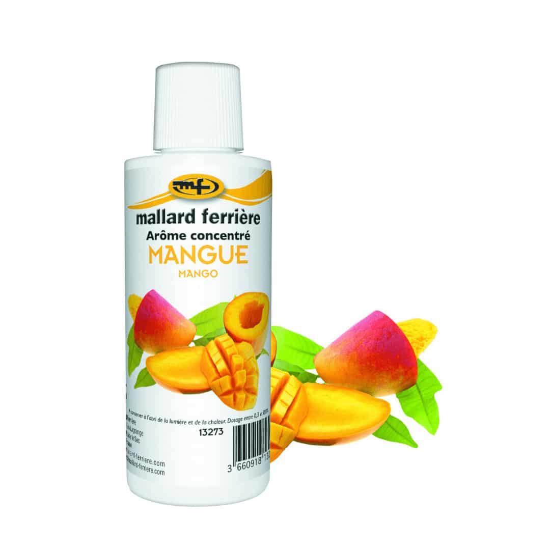 gusto-mango-food-125ml