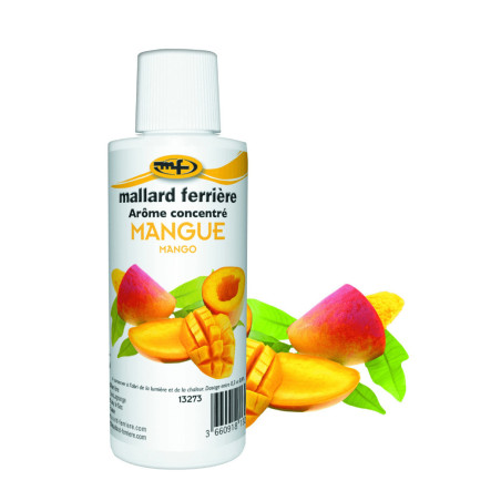 gusto-mango-food-125ml