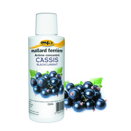 gusto-alimentare-ribes-nero-125-ml