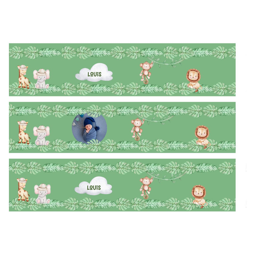 contorno-torta-commestibile-personalizzabile-jungle-baby