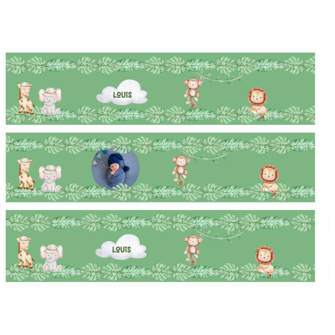 contorno-torta-commestibile-personalizzabile-jungle-baby