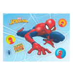 foglio ayzme spider man