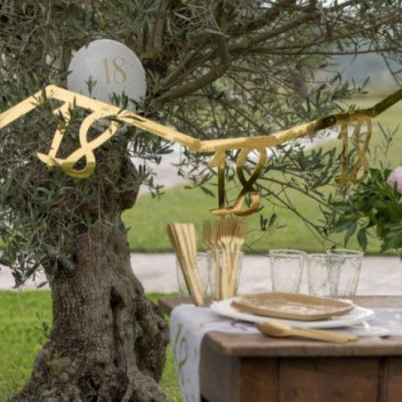 decorazione-oro-per-il-18°-anniversario