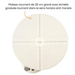 spiegazione del giradischi elettrico