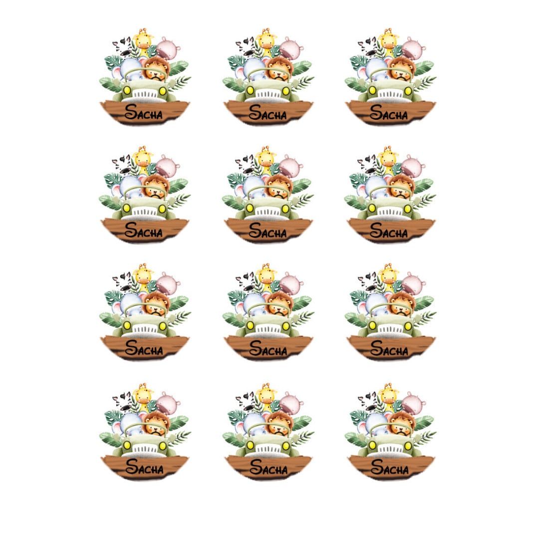 12 mini-dischi-di-zucchero-safari-explorer
