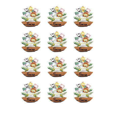 12 mini-dischi-di-zucchero-safari-explorer