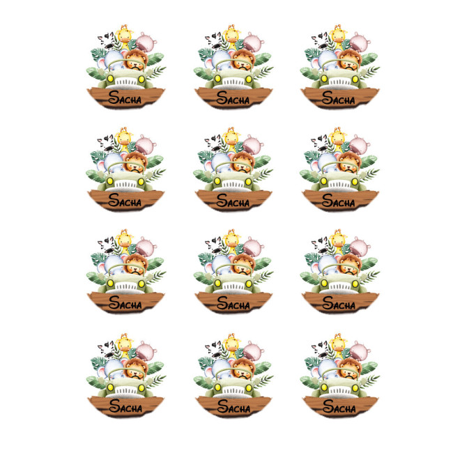 12 mini-dischi-di-zucchero-safari-explorer